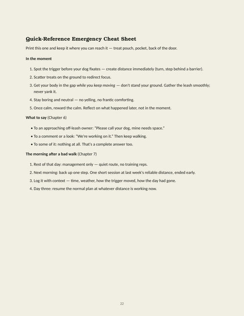The Reactive Dog Reset Playbook