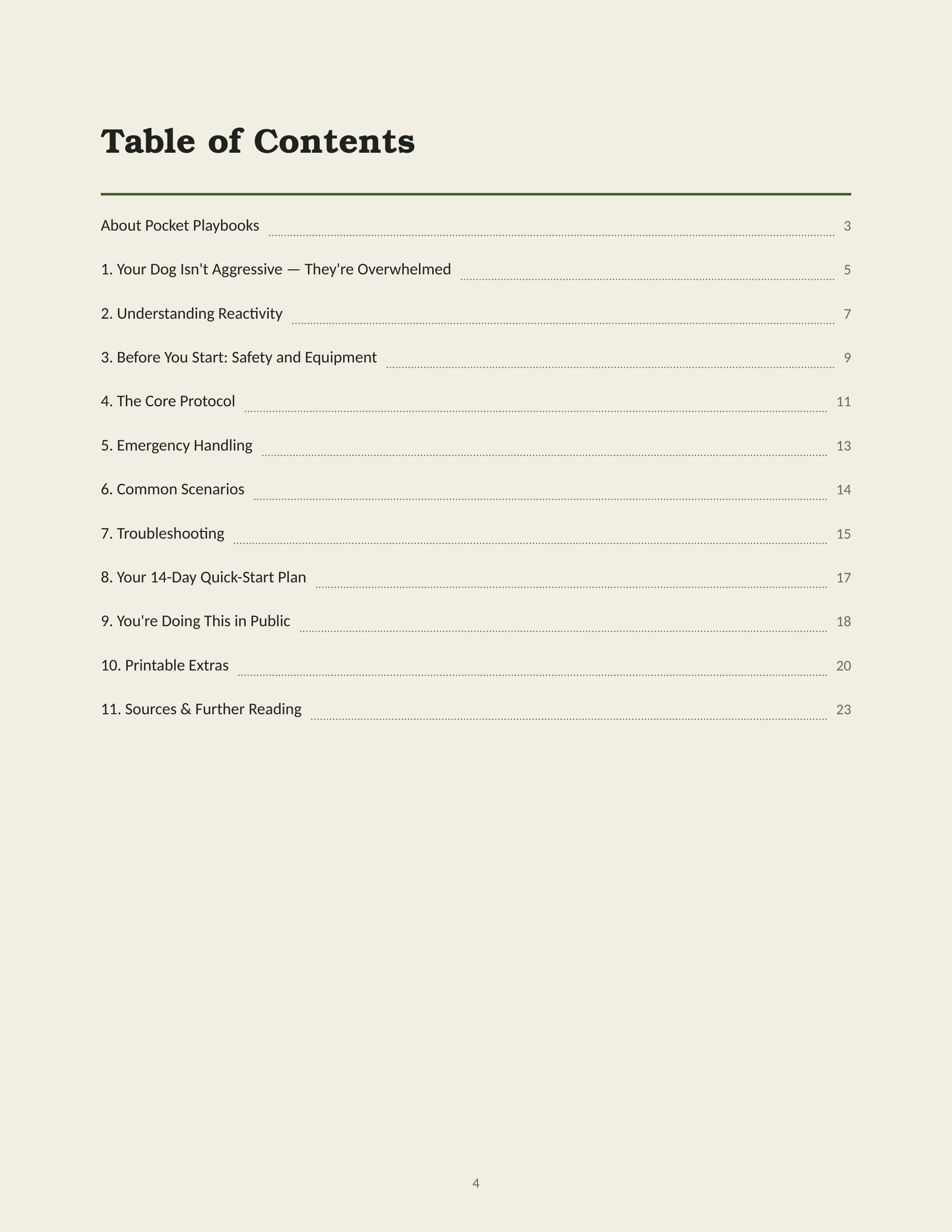 Table of contents of The Reactive Dog Reset Playbook, listing all 11 sections and page numbers