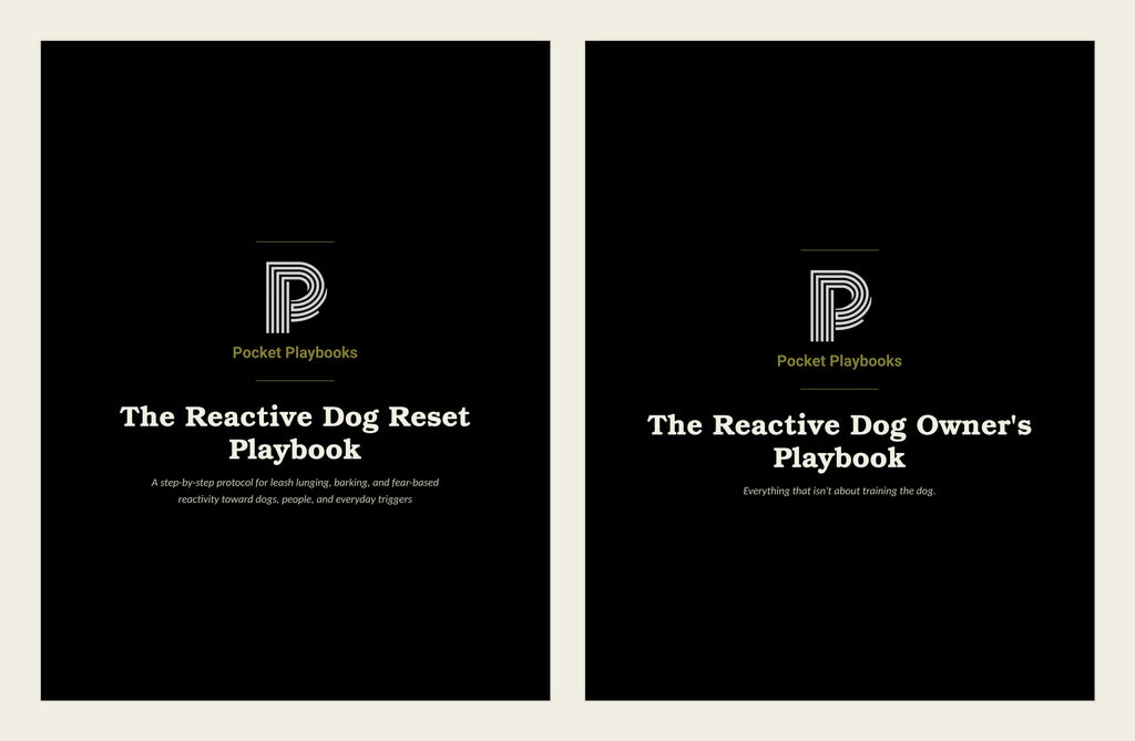 The Reactive Dog Set